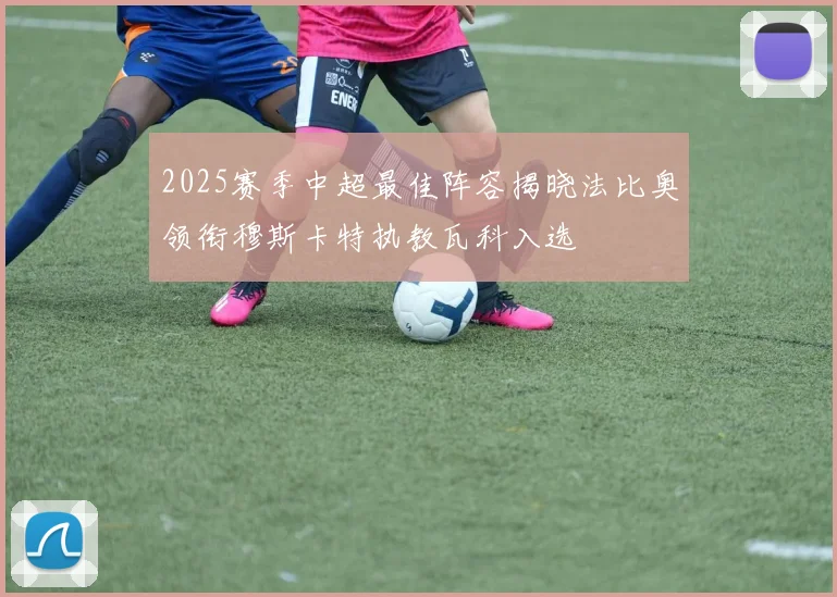 2025赛季中超最佳阵容揭晓法比奥领衔穆斯卡特执教瓦科入选