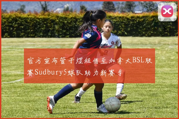 官方宣布管子煜租借至加拿大BSL联赛Sudbury5球队助力新赛季