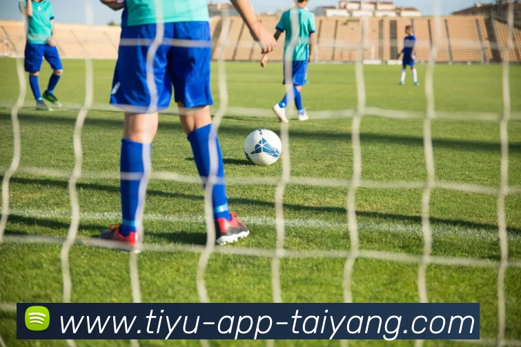 太阳城平台生态图