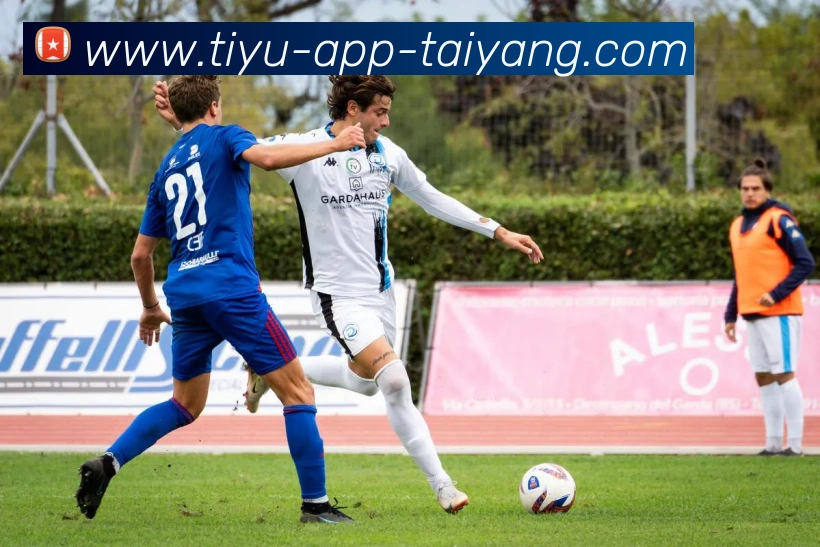 太阳城APP 封面图